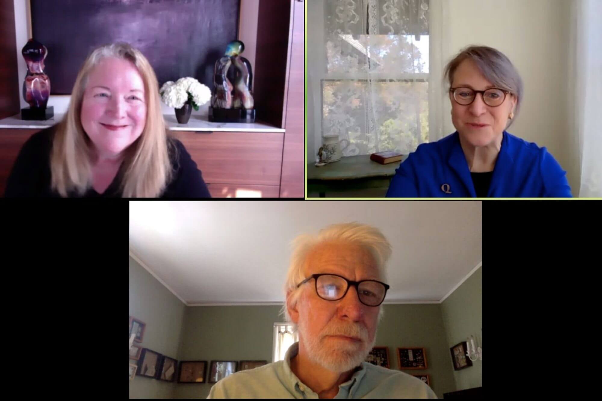 Screen capture of McLaughlin, Hitt, and Brown during the webinar