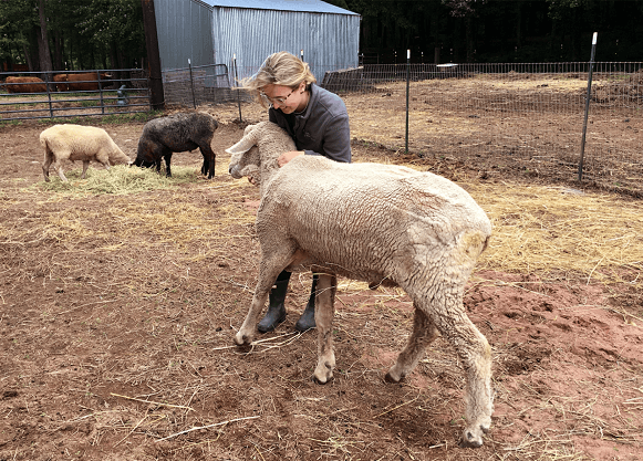 Holihan embraces a sheep