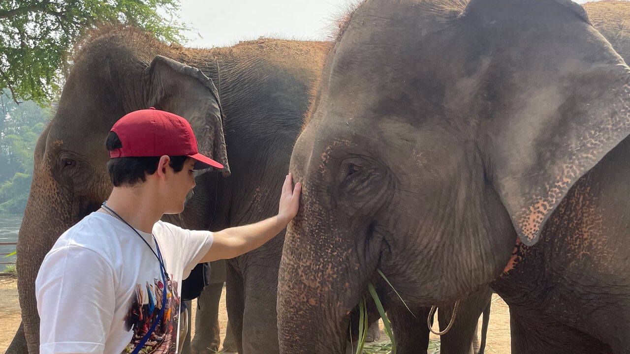 Jake Cedor petting an elephant