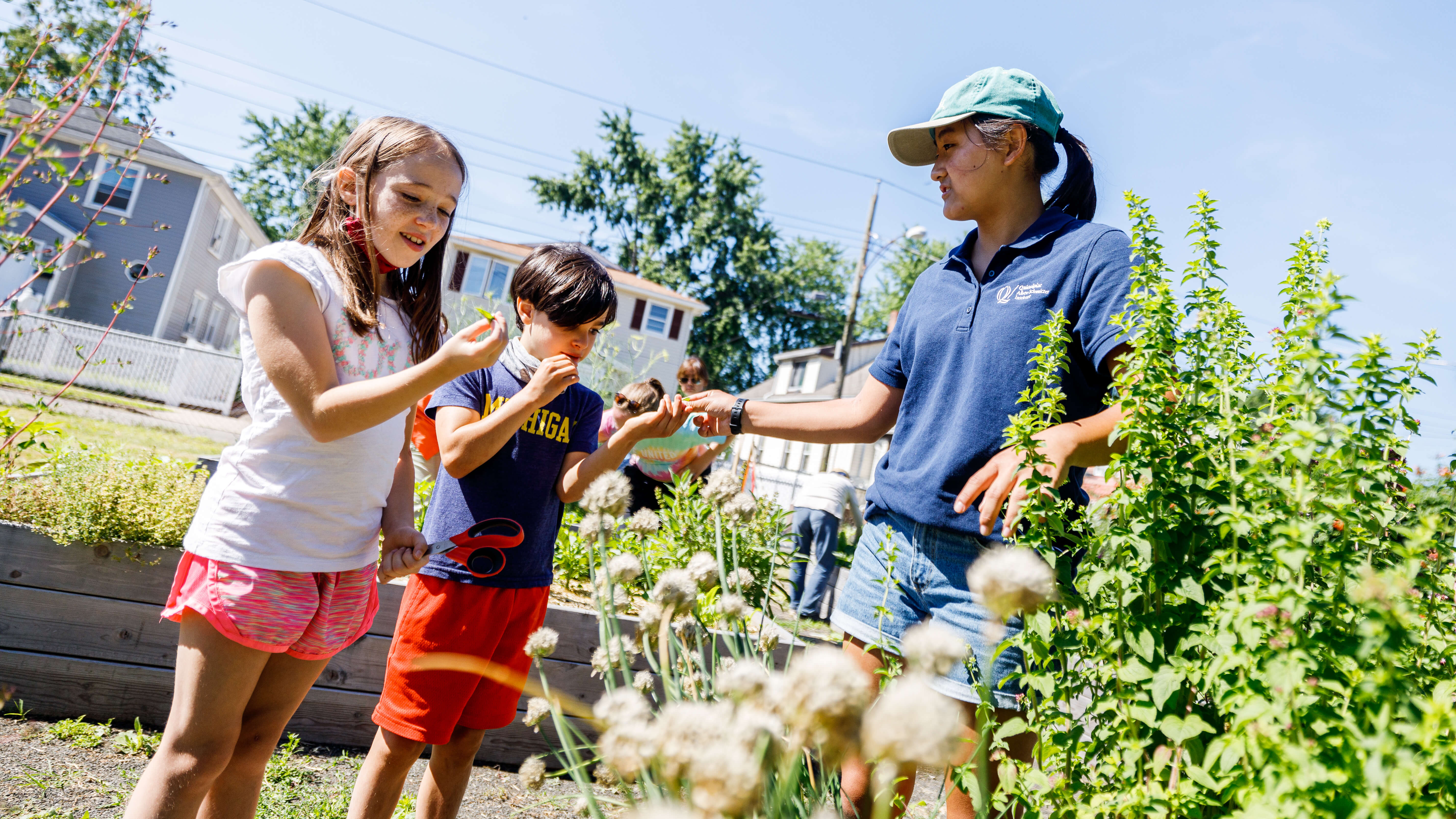 Kids work with Quinnipiac student in a garden