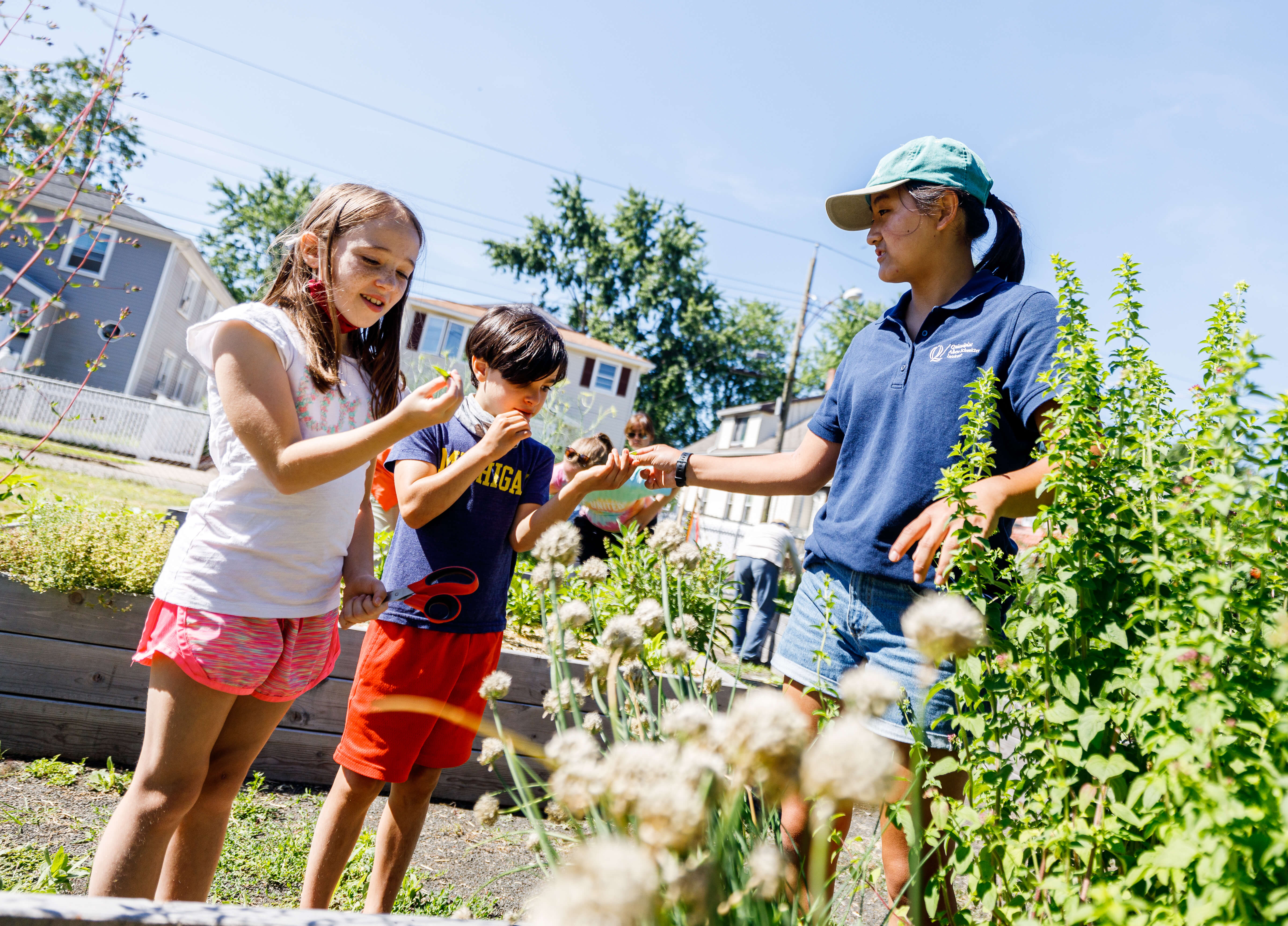 Kids work with Quinnipiac student in a garden