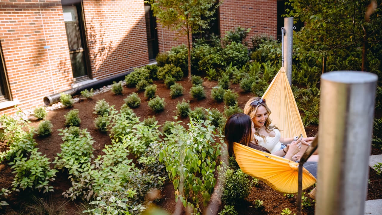 Two students sit in a hammock