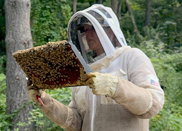 Professor Tania Grgurich looks at bees.