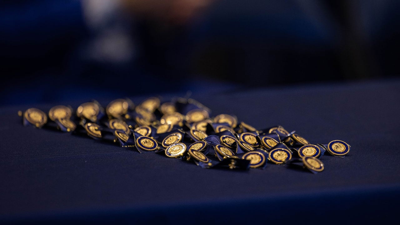 Photo of Quinnipiac School of Nursing pins on a table