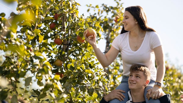 Friends smiling while reaching up at a tree to apple pick