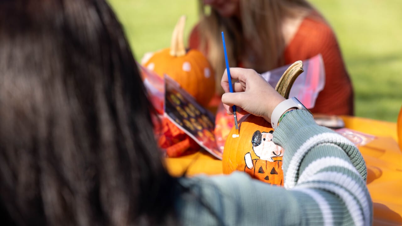 Person paints a design onto a pumpkin