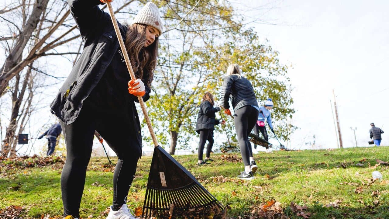 Quinnipiac students participate in the greek  day of service