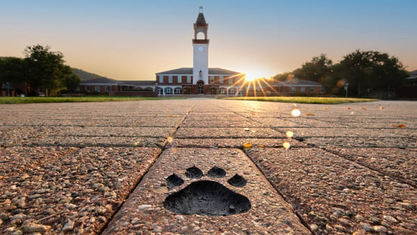 Paw print in front of the library