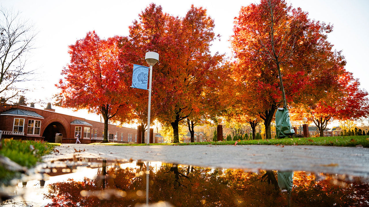 Bright orange leaves fill the landscape on Mount Carmel Campus