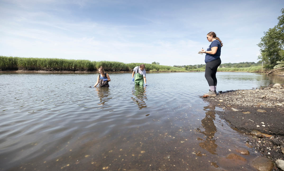 2 students standing in a river with the professor on the bank taking notes