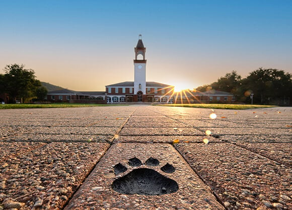 The sun rises over the clocktower.