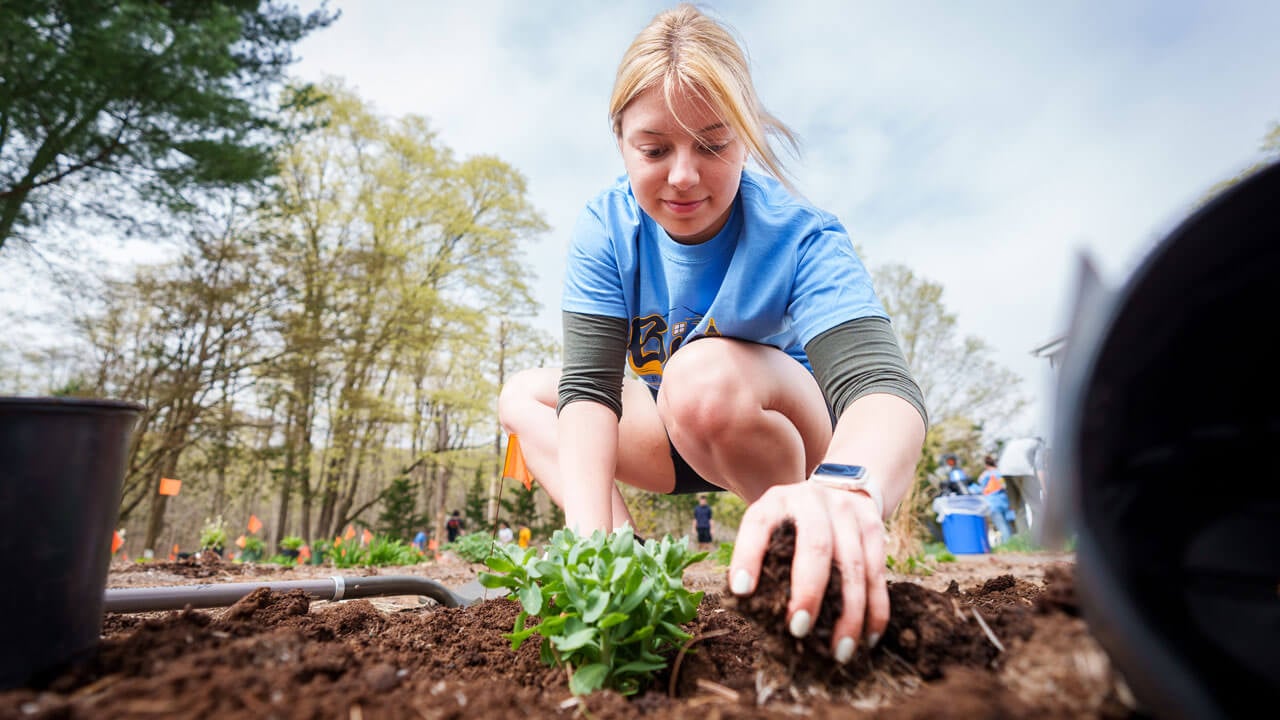 Student volunteer works in the ASI pollinator garden.