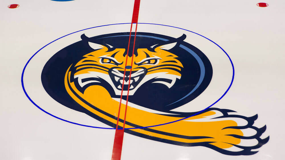 quinnipiac hockey logo