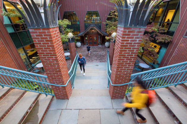 Students walking on steps on campus