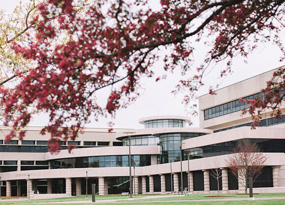 Flowers blossom on North Haven Campus